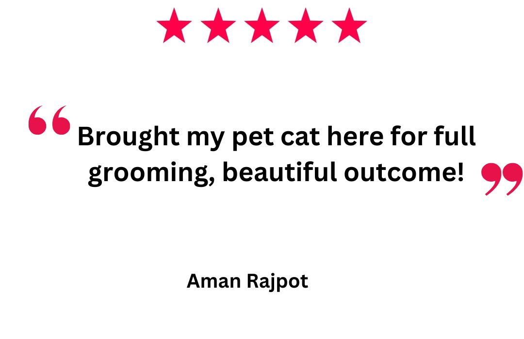 Pet Grooming van Dubai Mobile Dog and Cat Grooming Dubai