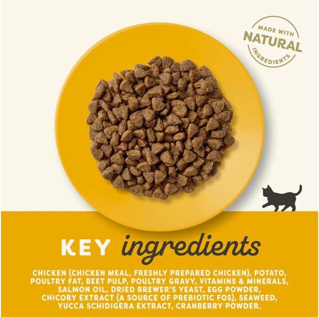 Applaws Chicken Dry Kitten Food - Image 4