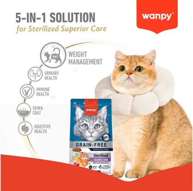 WANPY Grain Free Sterilized Cat Food – Salmon & Tuna Recipe - Image 3