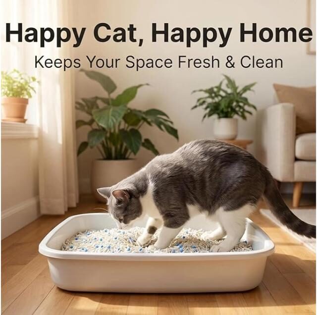 Tofu Cat Litter, Plant-Based Eco-Friendly, 2.5KG, Lavender - Image 4