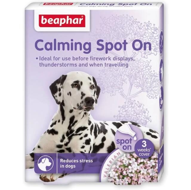 Calming Spot on Dog