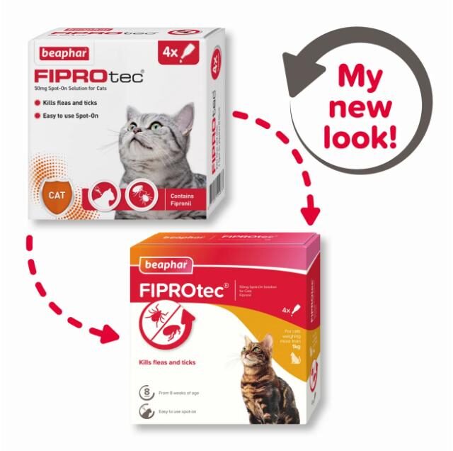 Fiprotec for Cat, 4 Pipettes - Image 2