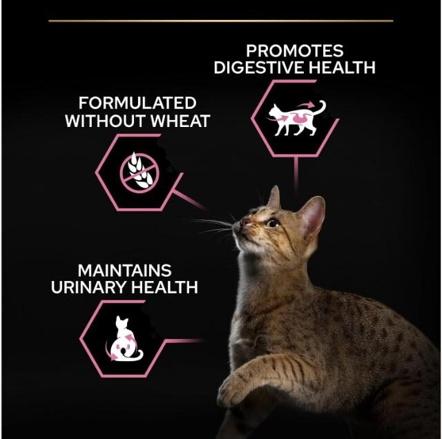 PURINA Pro Plan Sterilised Optidigest Adult Chicken Dry Cat Food - 10KG - Image 4