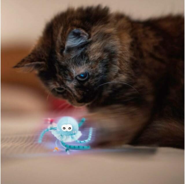Shining Friends Jellyfish with activated LED light & Catnip inside - Image 2