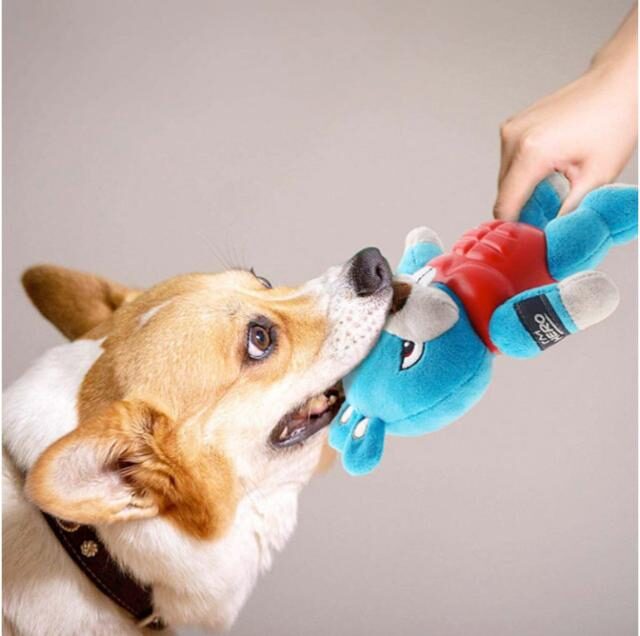 I’m HERO Rabbit with Squeaker - Image 2