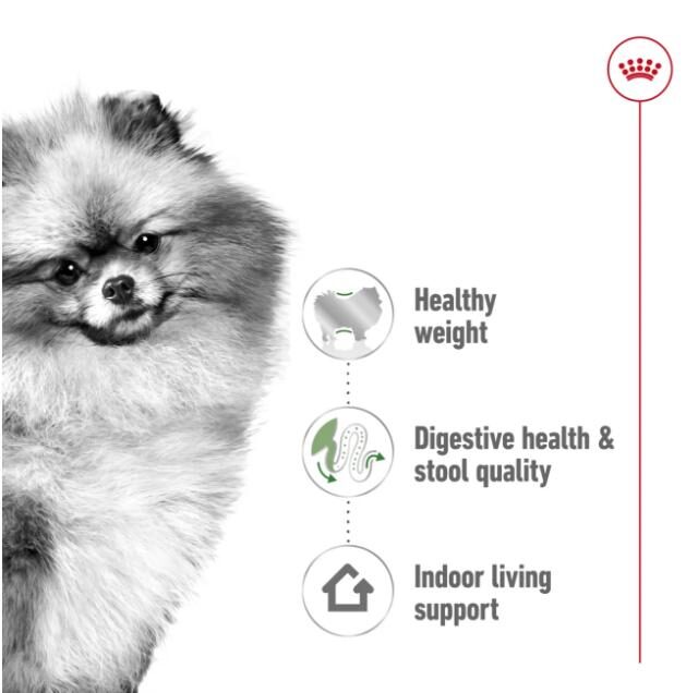 Size Health Nutrition Mini Indoor Adult 1.5 kg - Image 2