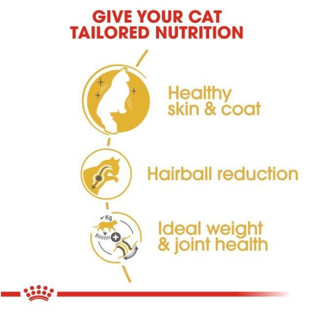 Feline Breed Nutrition Norwegian Forest Cat Adult 2 kg - Image 2
