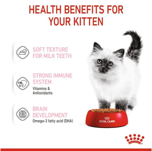 Royal Canin Sensory Taste Wet Food Chunks in Gravy for Adult Cats - Image 2
