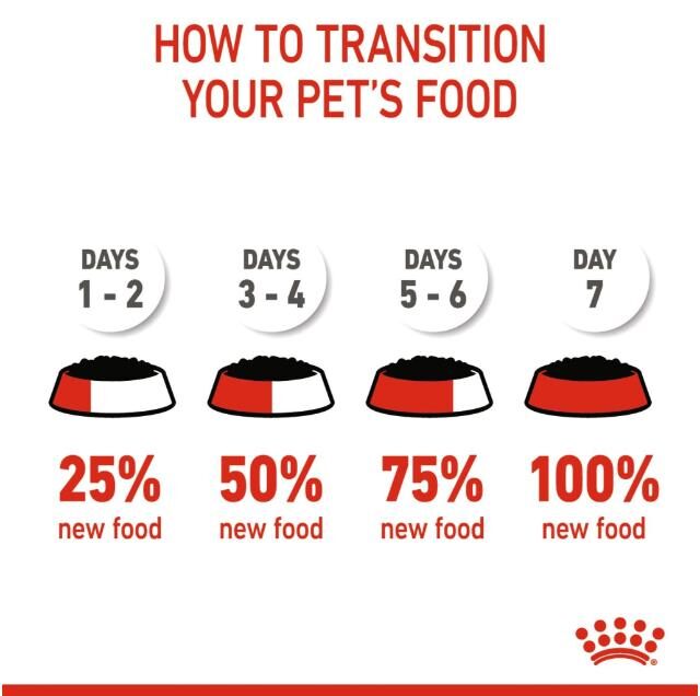 Royal Canin Sensory Taste Wet Food Chunks in Gravy for Adult Cats - Image 3