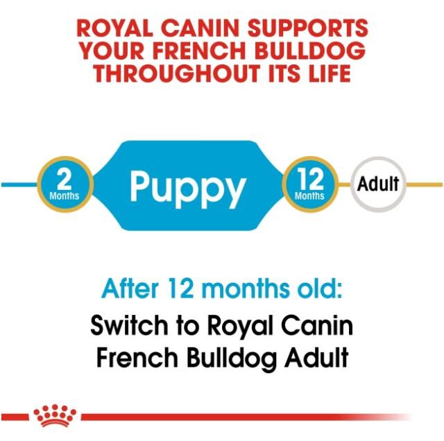 Breed Health Nutrition French Bulldog Puppy 3 kg - Image 2