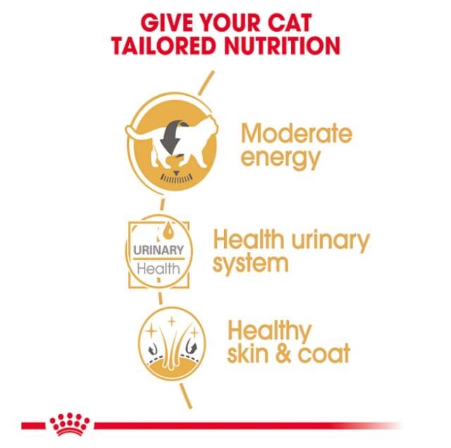 Feline Breed Nutrition British Shorthair (Wet Food - Pouches) 12 x 85 g - Image 2