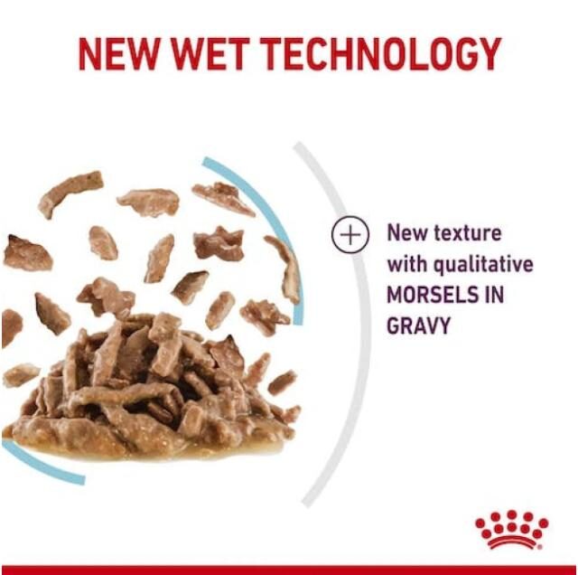 Feline Health Nutrition Sensory Feel Gravy (Wet Food - Pouches) 12 x 85 g - Image 2