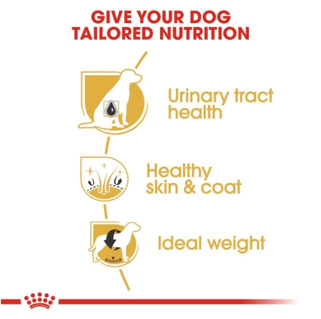Breed Health Nutrition Bichon Frise Adult 1.5 kg - Image 4