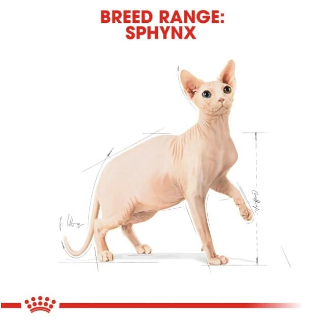 Feline Breed Nutrition Sphynx 2 kg - Image 2
