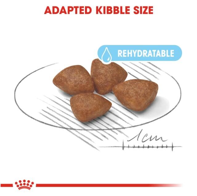 Size Health Nutrition Mini Starter 1 kg - Image 3