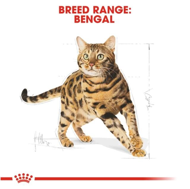 Feline Breed Nutrition Bengal Adult 2 kg - Image 3
