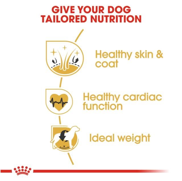 Breed Health Nutrition Golden Retriever Adult 12 kg - Image 4