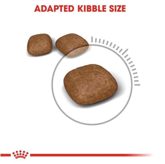 Feline Care Nutrition Urinary Care 4 kg - Image 2