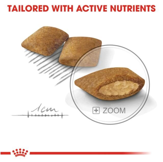 Canine Care Nutrition Mini Exigent 3 kg - Image 2