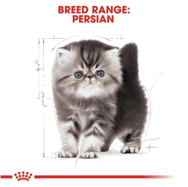 Feline Breed Nutrition Persian Kitten 400 g - Image 4