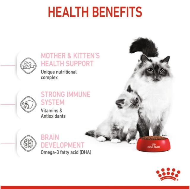 Royal Canin First Age Dry Food for Mother & Baby Cats (1-4 Months) - Image 2