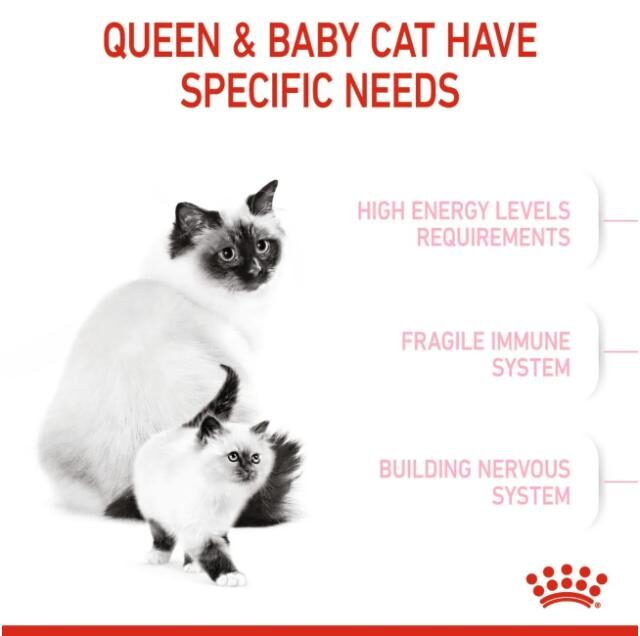 Royal Canin First Age Dry Food for Mother & Baby Cats (1-4 Months) - Image 3