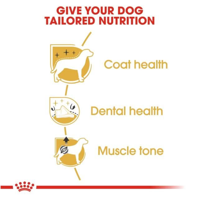 Breed Health Nutrition Poodle Adult 1.5 kg - Image 2