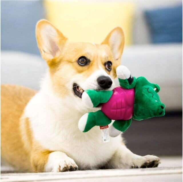 Im Hero Armor Alligator TPR / Plush with Squeaker Dog Toy - Image 4