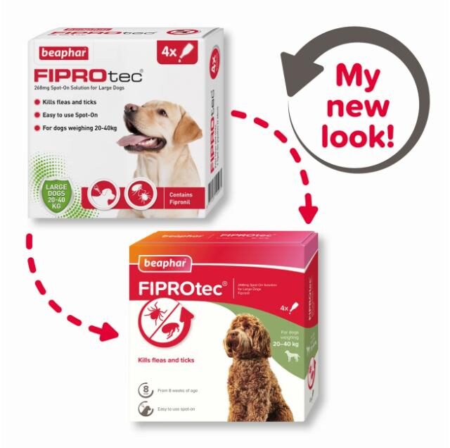 Fiprotec for Large Dog, 4 Pipettes - Image 2