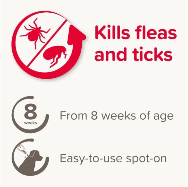 Fiprotec for Large Dog, 4 Pipettes - Image 3