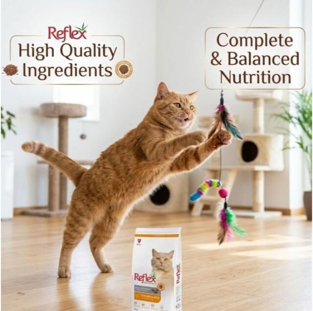 Reflex Chicken and Rice Adult Dry Cat Food - 2 Kg - Image 4