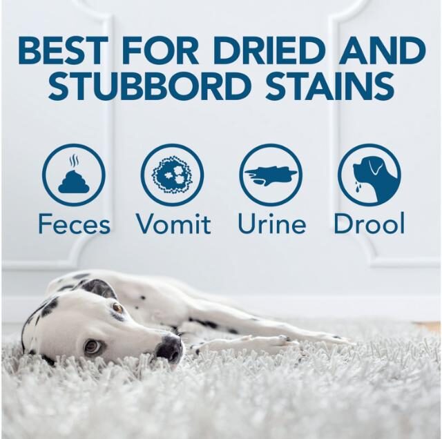 Simple Solution Oxy Charged Pet Stain and Odor Remover – 945ml - Image 3