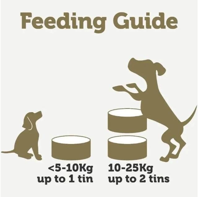 Applaws Taste Toppers in Broth Chicken Wet Dog Food 156g Tin - Image 4