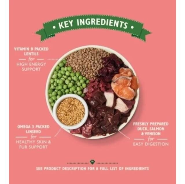 Lily's Kitchen Wild Woodland Walk with Duck, Salmon & Venison Adult Dry Dog Food - Image 2