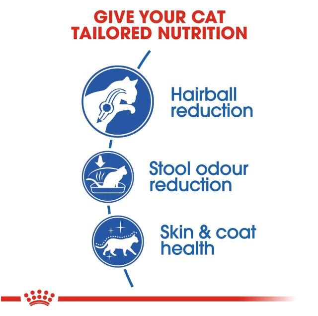 Royal Canin Home Life Dry Food for Indoor Long Haired Cats - Image 4