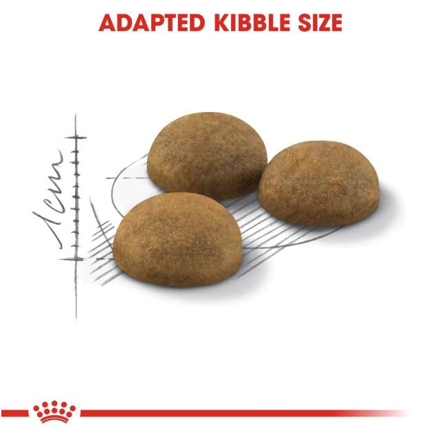 Royal Canin Home Life Dry Food for Indoor Long Haired Cats - Image 5