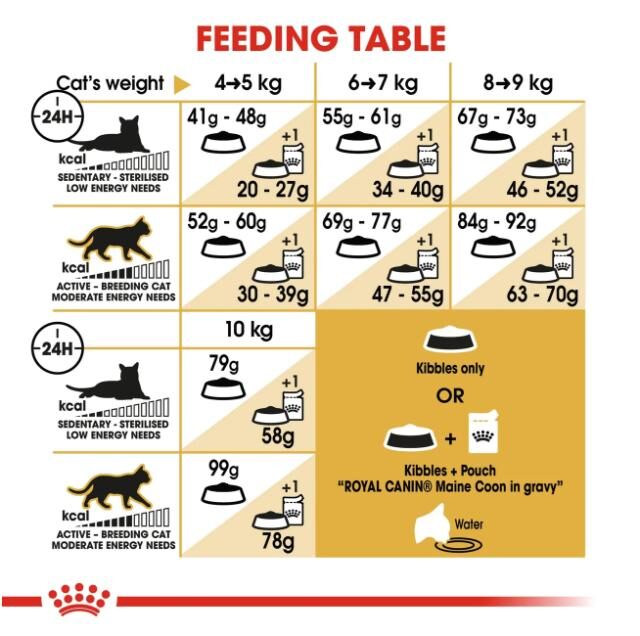 Feline Breed Nutrition Maine Coon Adult 2 kg - Image 2