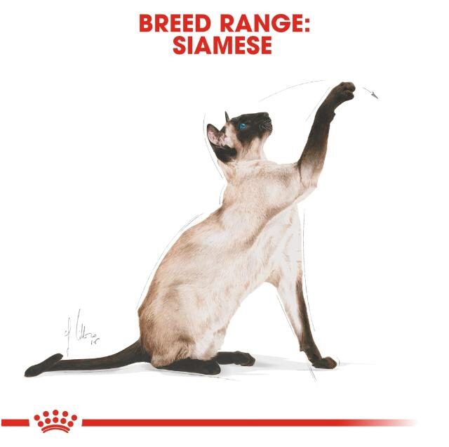 Royal Canin Dry Cat Food for Adult Siamese - Image 2