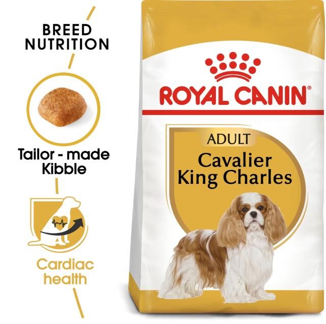 Royal Canin Dry Dog Food for Junior Cavalier King Charles (Up to 10 Months)