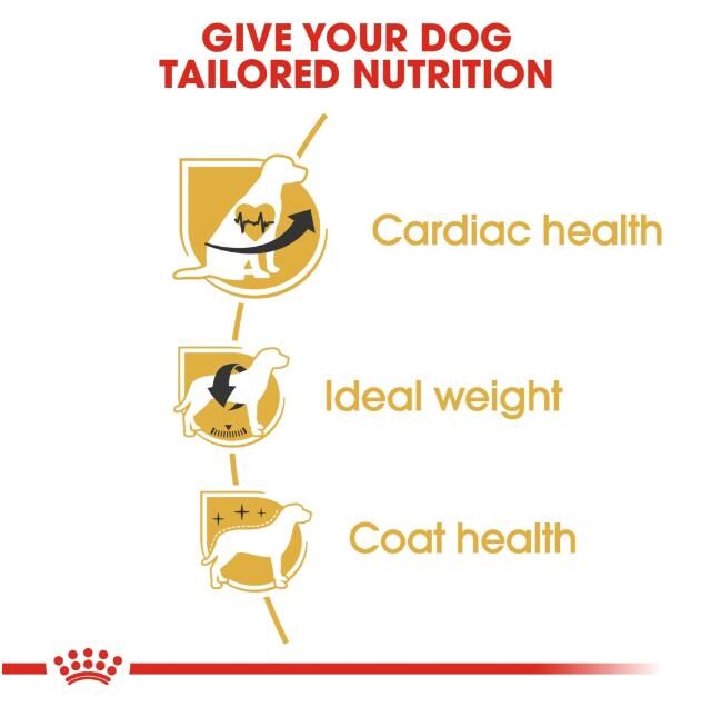 Royal Canin Dry Dog Food for Junior Cavalier King Charles (Up to 10 Months) - Image 2