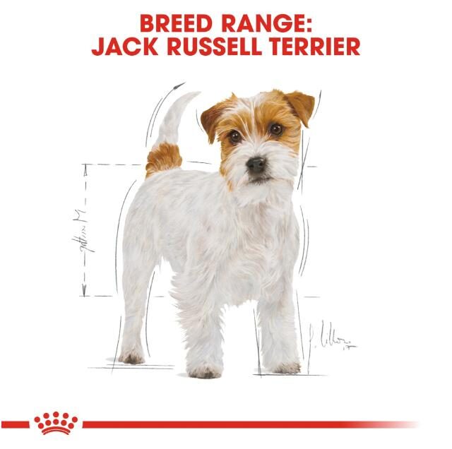 Breed Health Nutrition Jack Russell Adult 1.5 kg - Image 2