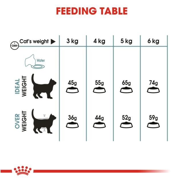 Royal Canin Hairball Care Dry Cat Food - Image 3