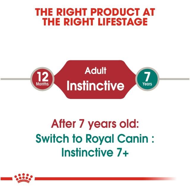 Royal Canin Instinctive Wet Food Slices in Gravy for Adult Cats (1+ Years) - Image 3