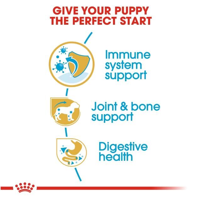 Breed Health Nutrition Dachshund Puppy 1.5 kg - Image 4