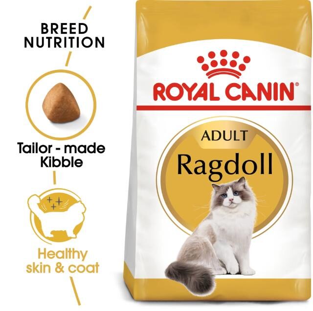 Royal Canin Dry Cat Food for Adult Ragdolls (12+ Months)