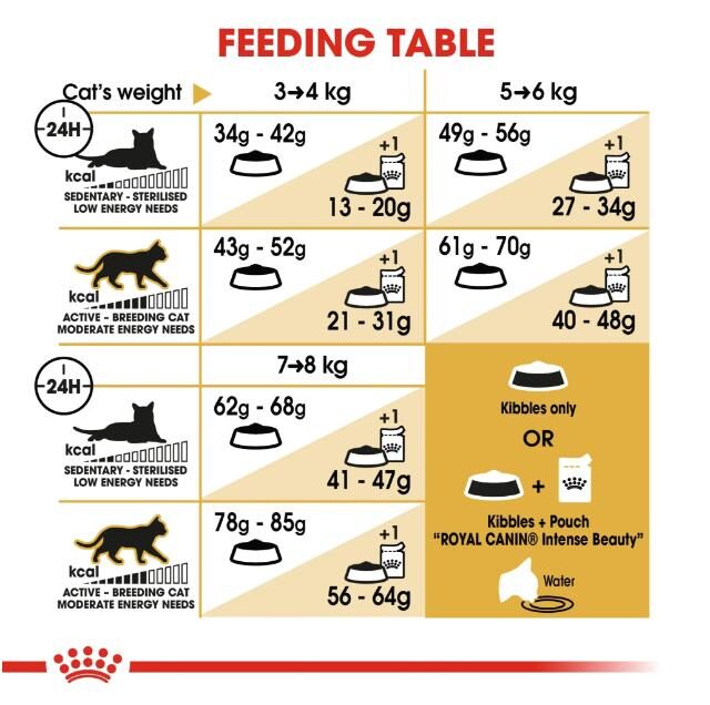 Royal Canin Dry Cat Food for Adult Ragdolls (12+ Months) - Image 3