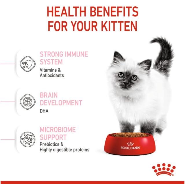 Royal Canin Second Age Dry Food for Kittens (Up to 12 Months) - Image 2