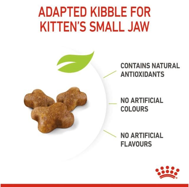 Royal Canin Second Age Dry Food for Kittens (Up to 12 Months) - Image 3