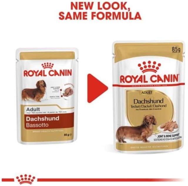 Royal Canin BHN Dachshund Adult Wet Food Pouches Box of 12x85g Breed Health Nutrition Dog Food - Image 2