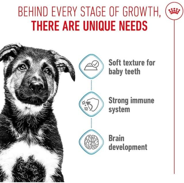 Royal Canin Canine Health Nutrition Maxi Puppy (10*140) - Image 2